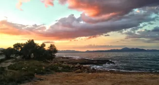 von_poll_real_estate_property_ES265747_image_57