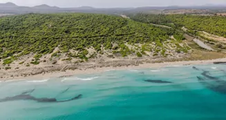 von_poll_real_estate_property_ES265747_image_61