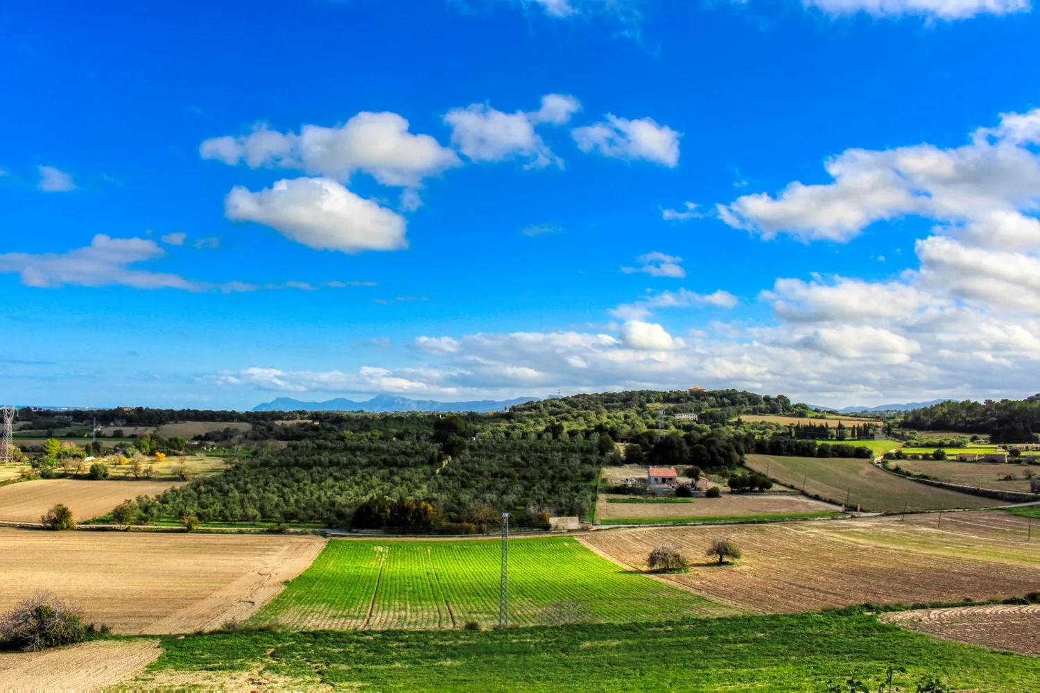 SEKRET MARKETING Interesting property with spectacular views of the bay of Alcudia in Muro