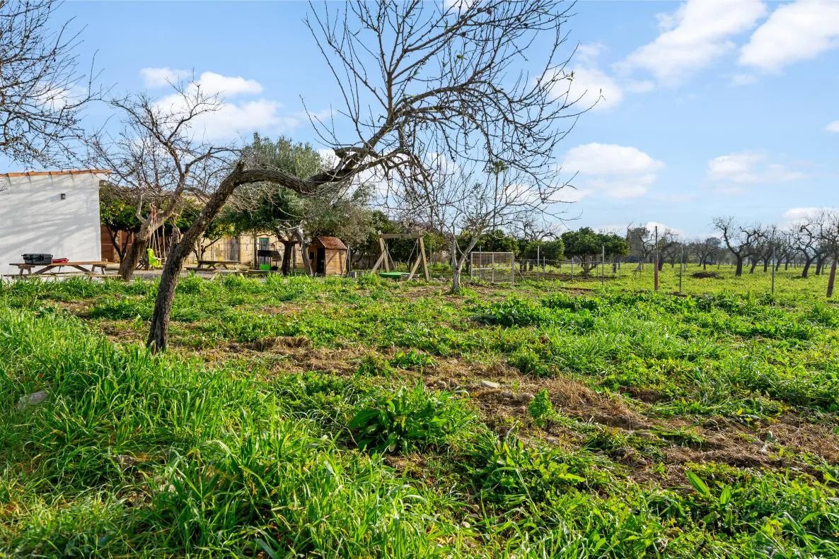Garden