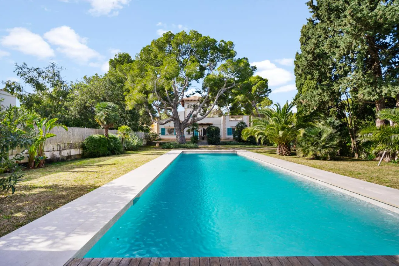 Pool und Garten