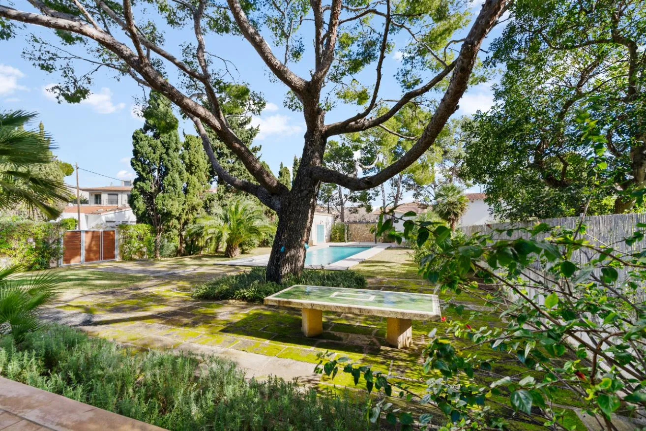 Pool und Garten