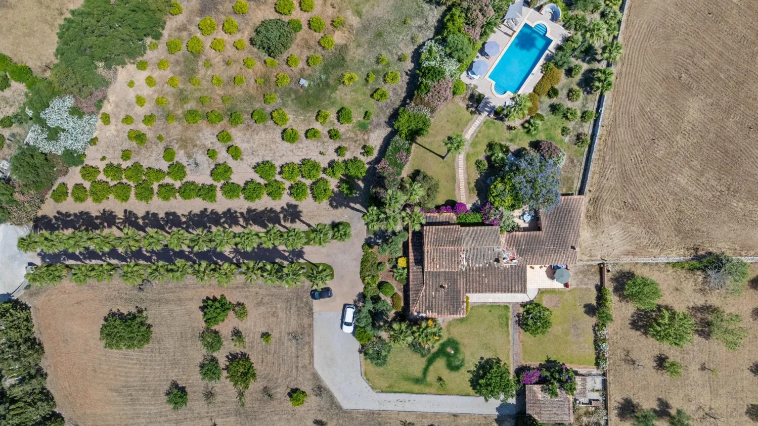 Ansichten von oben