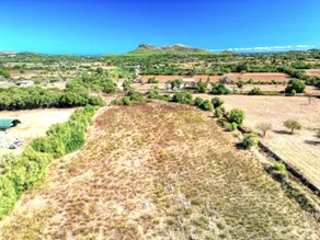 Gran parcela con proyecto aprobado a las afueras de Capdepera