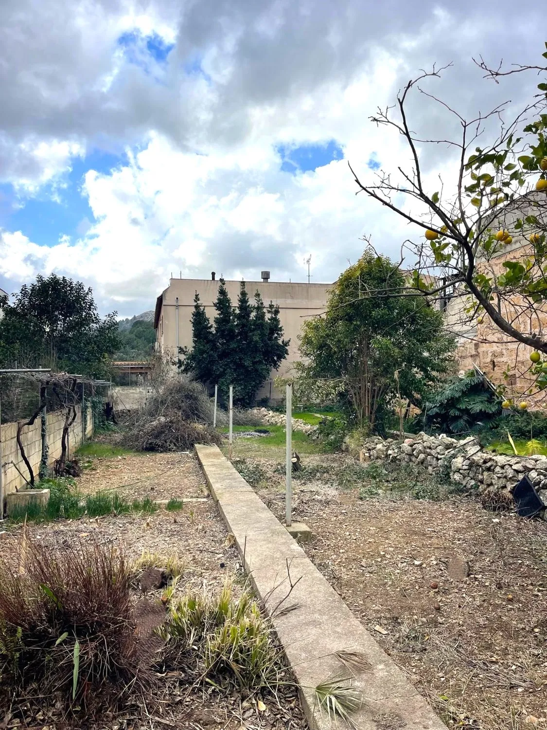 Garten
