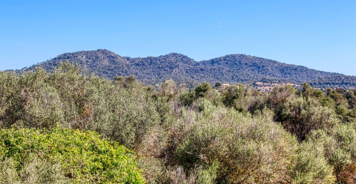 fantastischer-historischer-finca-besitz-aus-dem-jahr-1834-in-sant-llorenç-des-cardassar-mit-möglichkeit-der-lizenz-für-eine-kleine-landhotel-investition