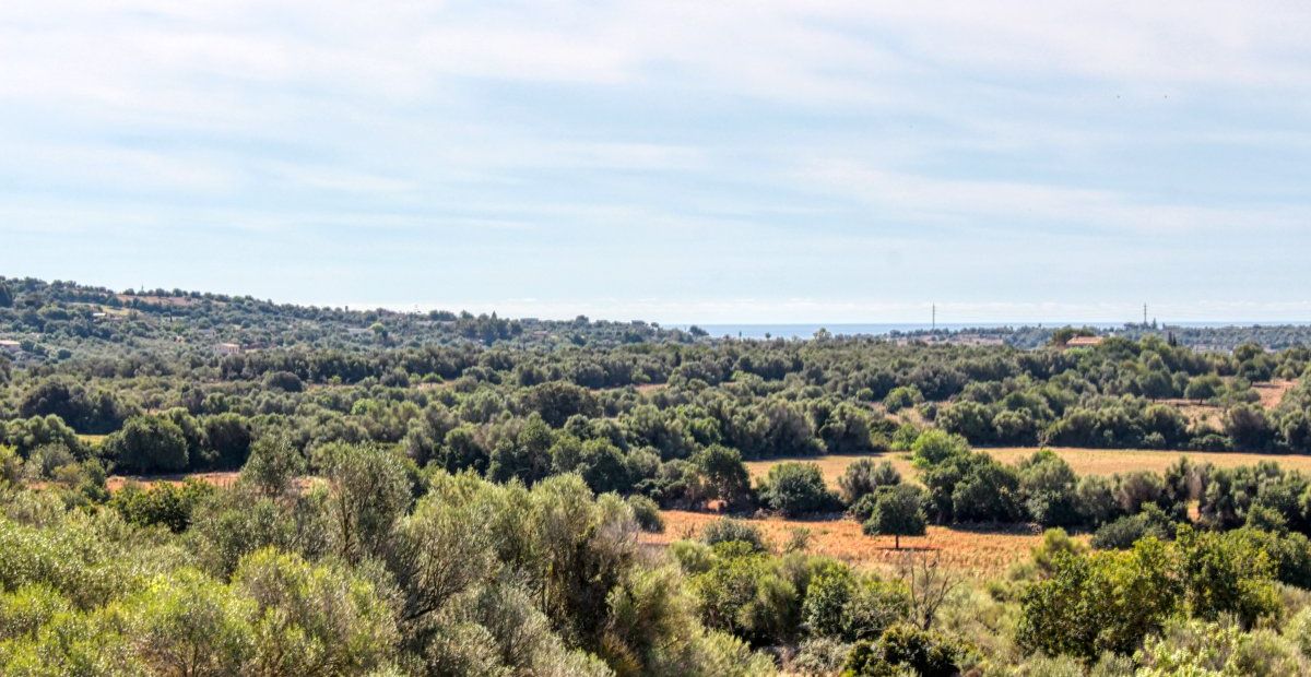 fantastischer-historischer-finca-besitz-aus-dem-jahr-1834-in-sant-llorenç-des-cardassar-mit-möglichkeit-der-lizenz-für-eine-kleine-landhotel-investition