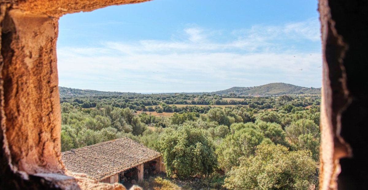 fantastischer-historischer-finca-besitz-aus-dem-jahr-1834-in-sant-llorenç-des-cardassar-mit-möglichkeit-der-lizenz-für-eine-kleine-landhotel-investition