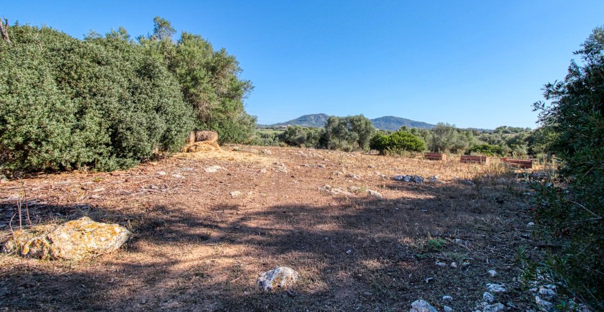 fantastischer-historischer-finca-besitz-aus-dem-jahr-1834-in-sant-llorenç-des-cardassar-mit-möglichkeit-der-lizenz-für-eine-kleine-landhotel-investition