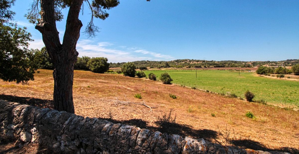 fantastischer-historischer-finca-besitz-aus-dem-jahr-1834-in-sant-llorenç-des-cardassar-mit-möglichkeit-der-lizenz-für-eine-kleine-landhotel-investition