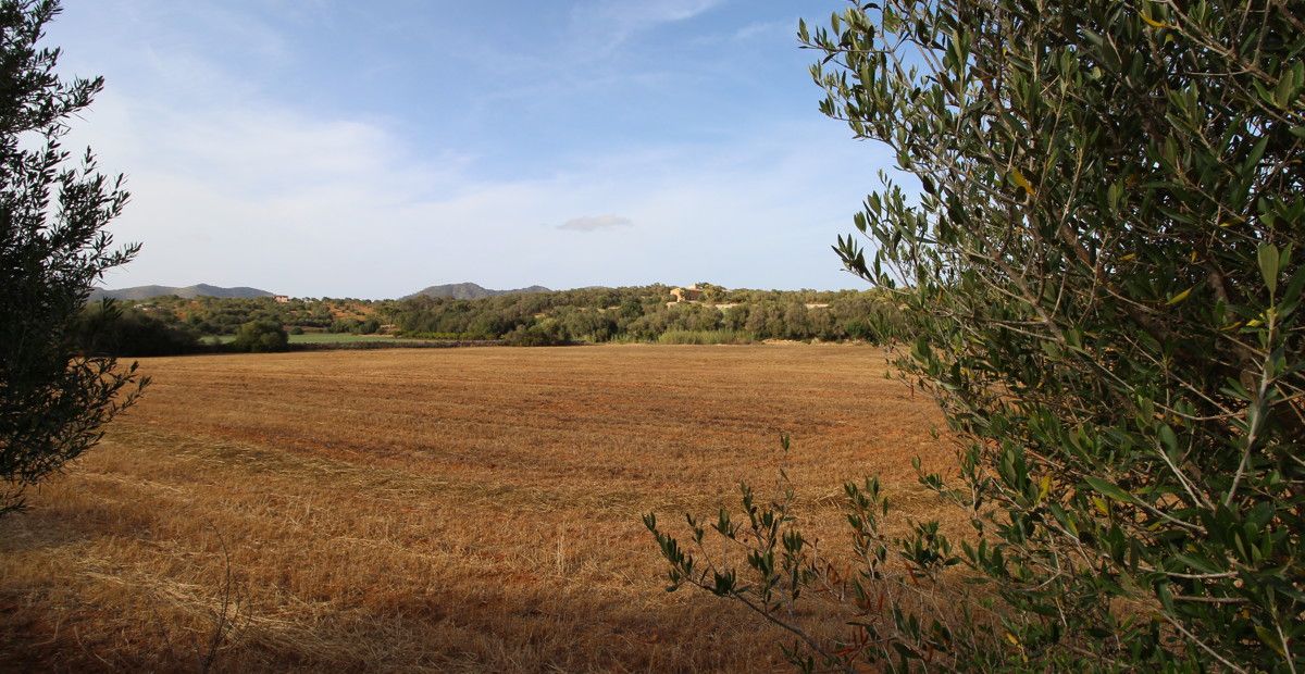 fantastischer-historischer-finca-besitz-aus-dem-jahr-1834-in-sant-llorenç-des-cardassar-mit-möglichkeit-der-lizenz-für-eine-kleine-landhotel-investition