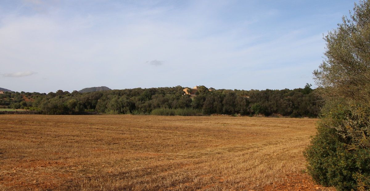 fantastischer-historischer-finca-besitz-aus-dem-jahr-1834-in-sant-llorenç-des-cardassar-mit-möglichkeit-der-lizenz-für-eine-kleine-landhotel-investition