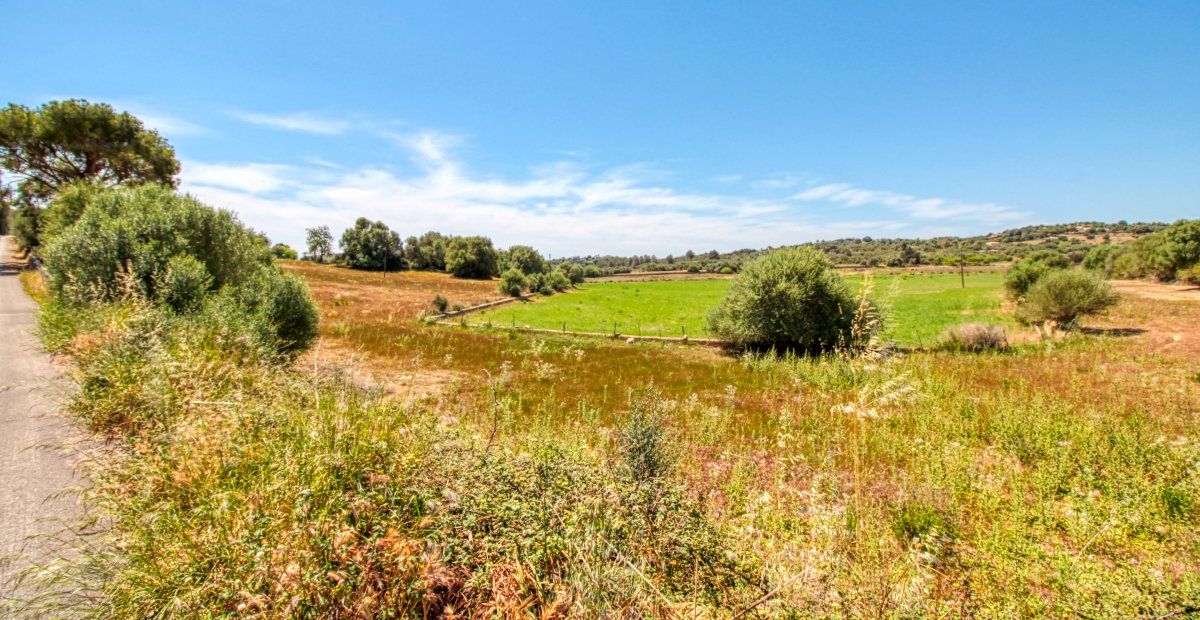 fantastischer-historischer-finca-besitz-aus-dem-jahr-1834-in-sant-llorenç-des-cardassar-mit-möglichkeit-der-lizenz-für-eine-kleine-landhotel-investition