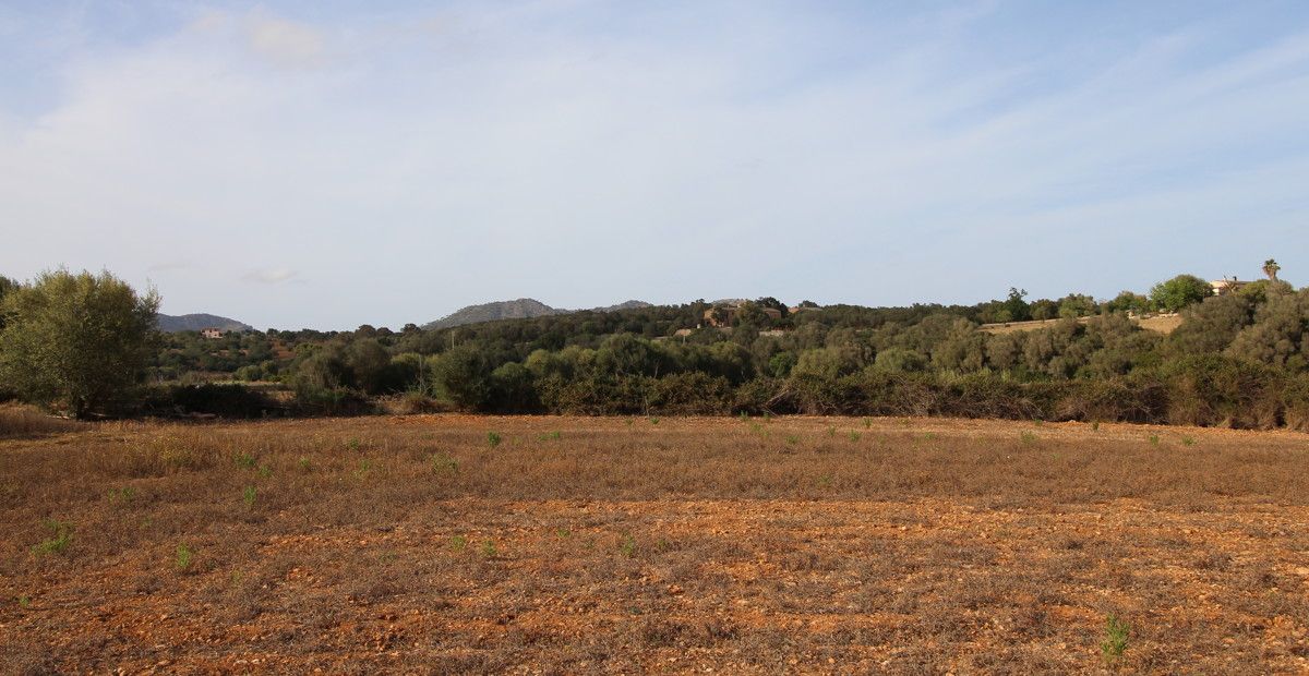 fantastischer-historischer-finca-besitz-aus-dem-jahr-1834-in-sant-llorenç-des-cardassar-mit-möglichkeit-der-lizenz-für-eine-kleine-landhotel-investition