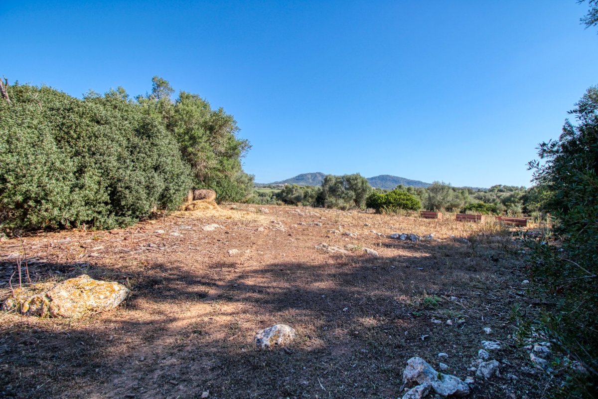 fantástica-casa-histórica-del-año-1834-en-sant-llorenç-des-cardassar