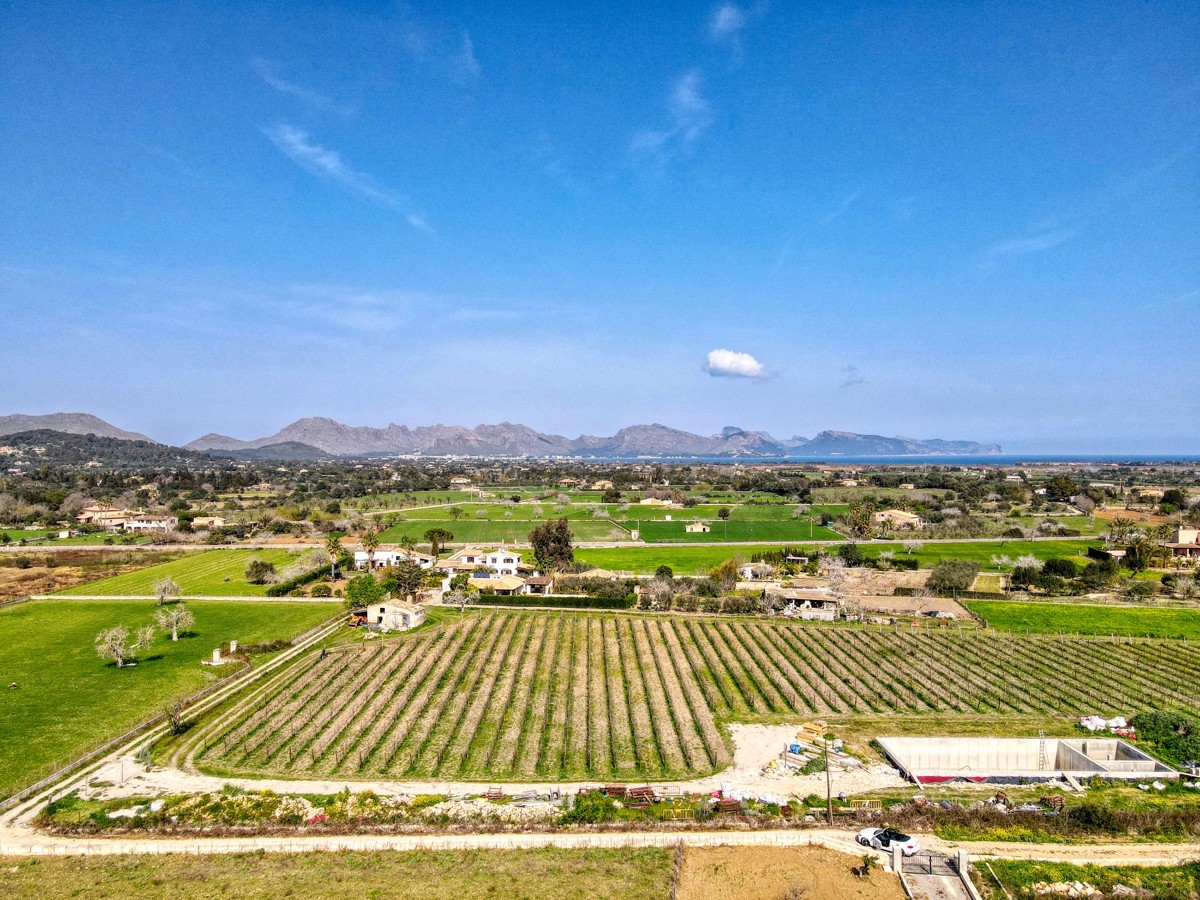 Fantastic luxury finca project with its own vineyard between Pollensa and Alcudia