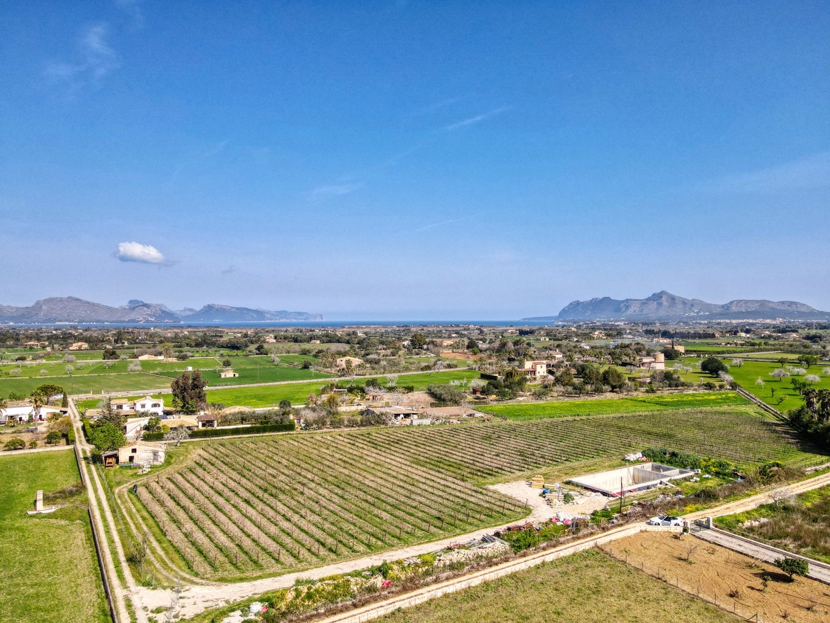 Fantástico proyecto de finca de lujo con viñedo propio entre Pollensa y Alcudia