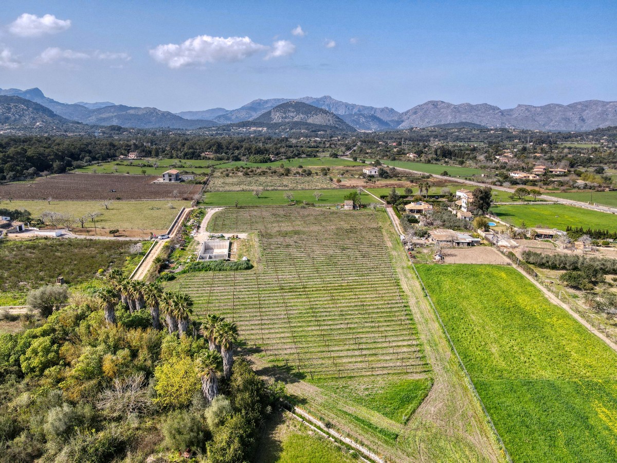 Fantastic luxury finca project with its own vineyard between Pollensa and Alcudia
