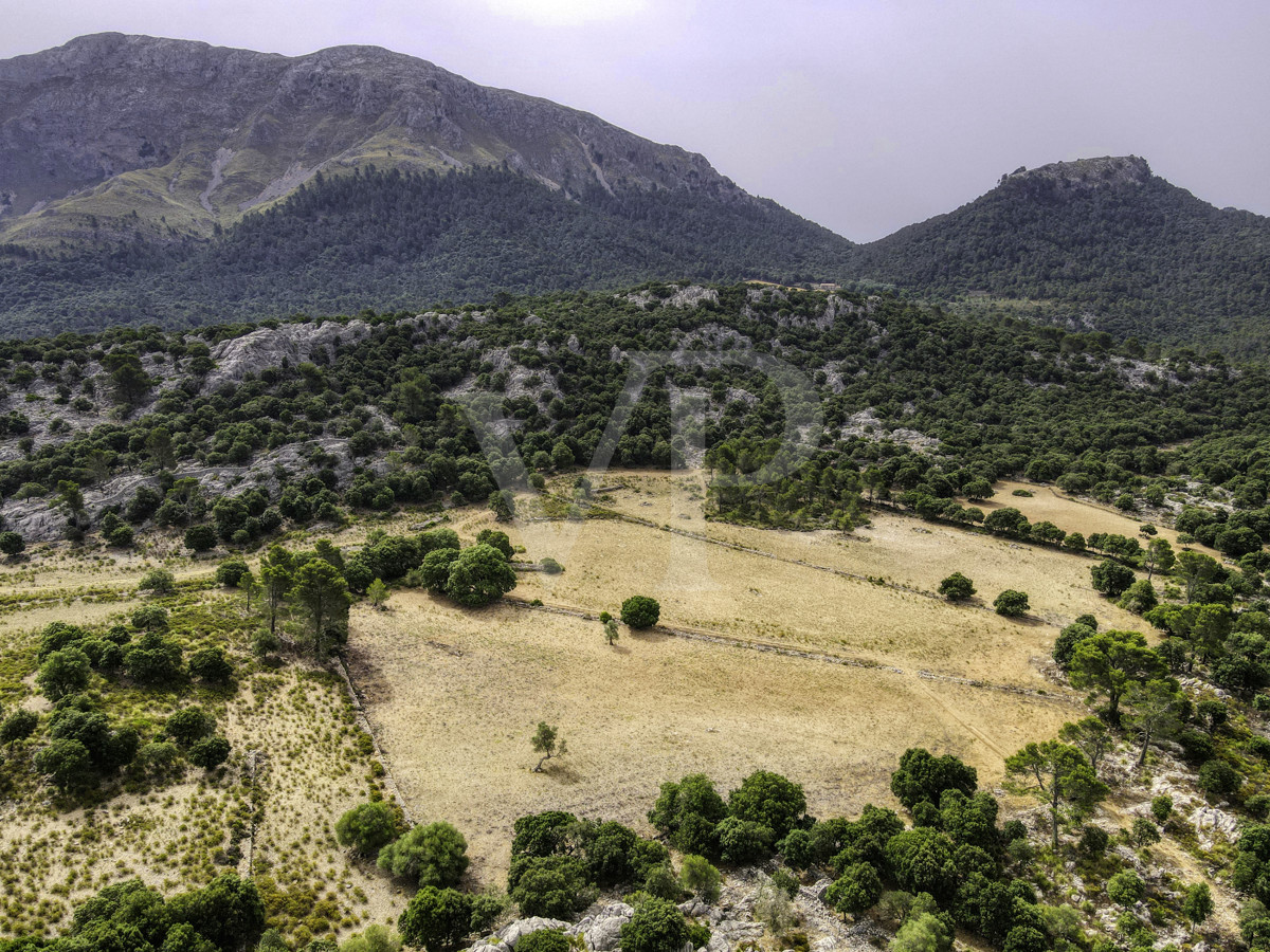 Fantastische historische Finca zum Renovieren auf 80 Hektar in der Serra de Tramuntana in Escorca