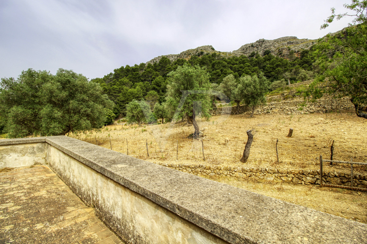 Fantastische historische Finca zum Renovieren auf 80 Hektar in der Serra de Tramuntana in Escorca