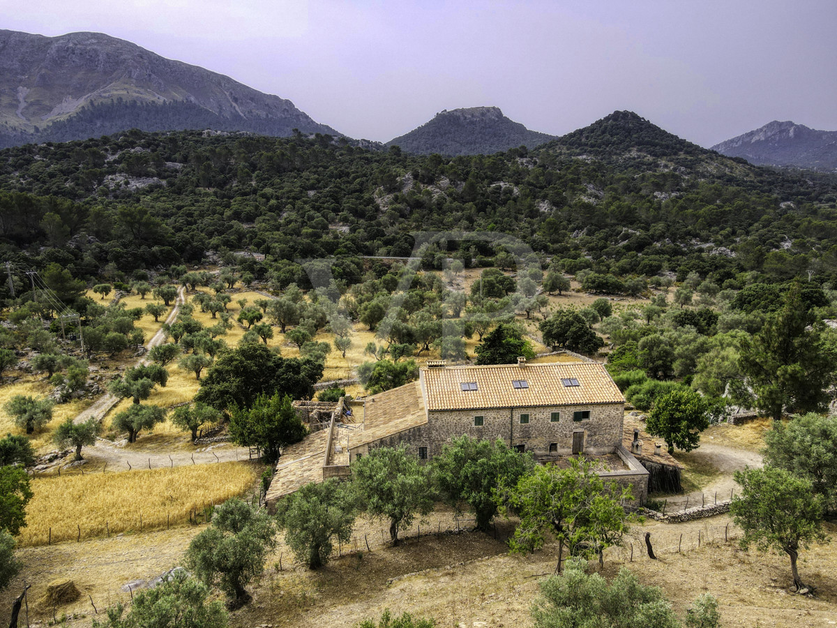 Fantastische historische Finca zum Renovieren auf 80 Hektar in der Serra de Tramuntana in Escorca