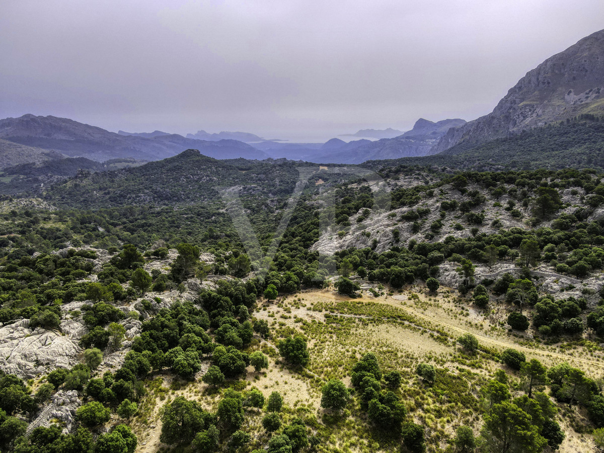 Fantastische historische Finca zum Renovieren auf 80 Hektar in der Serra de Tramuntana in Escorca