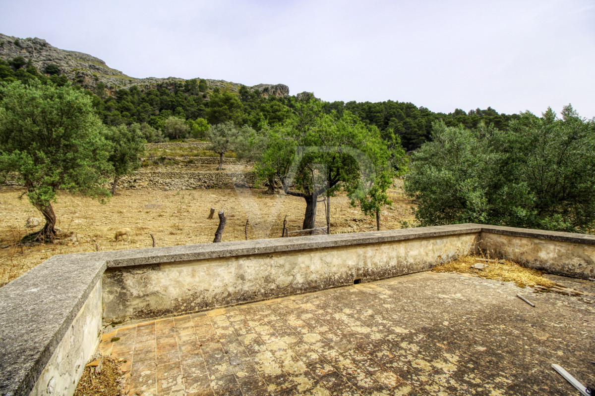 Fantastische historische Finca zum Renovieren auf 80 Hektar in der Serra de Tramuntana in Escorca