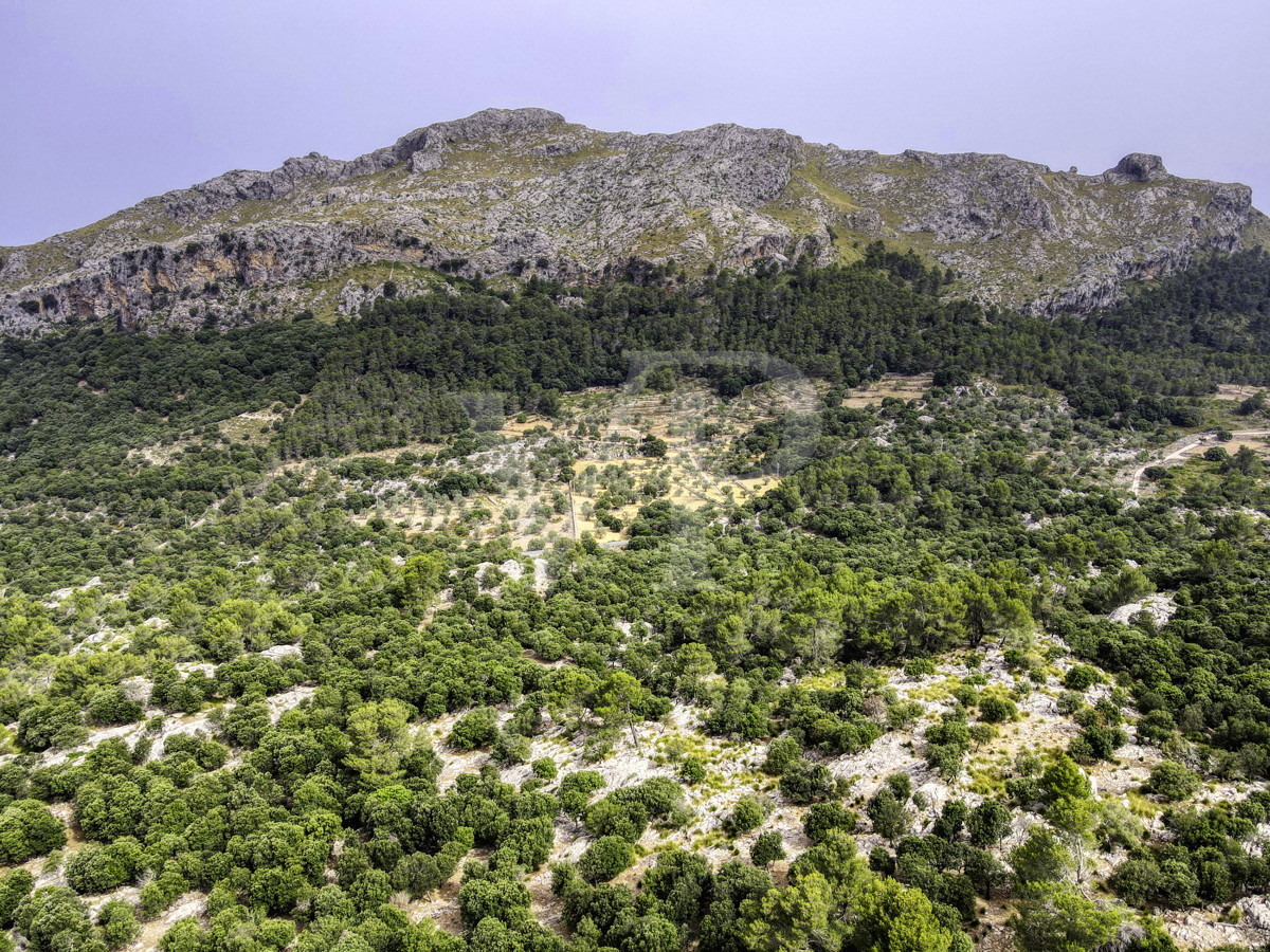 Fantastische historische Finca zum Renovieren auf 80 Hektar in der Serra de Tramuntana in Escorca