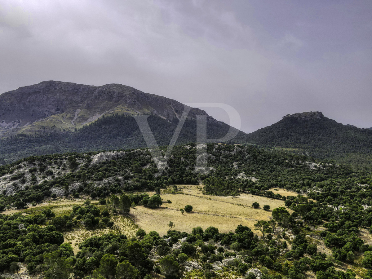 Fantastische historische Finca zum Renovieren auf 80 Hektar in der Serra de Tramuntana in Escorca