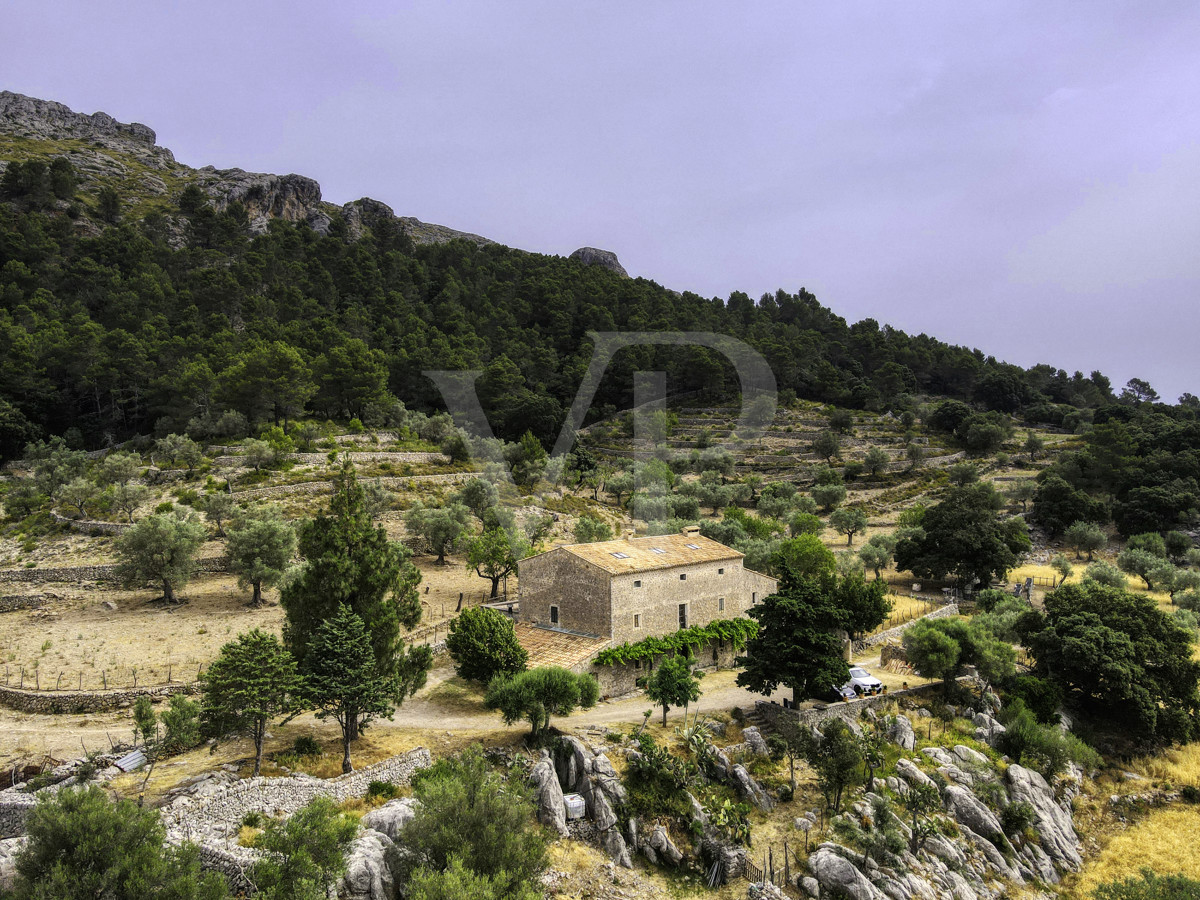 Fantastische historische Finca zum Renovieren auf 80 Hektar in der Serra de Tramuntana in Escorca