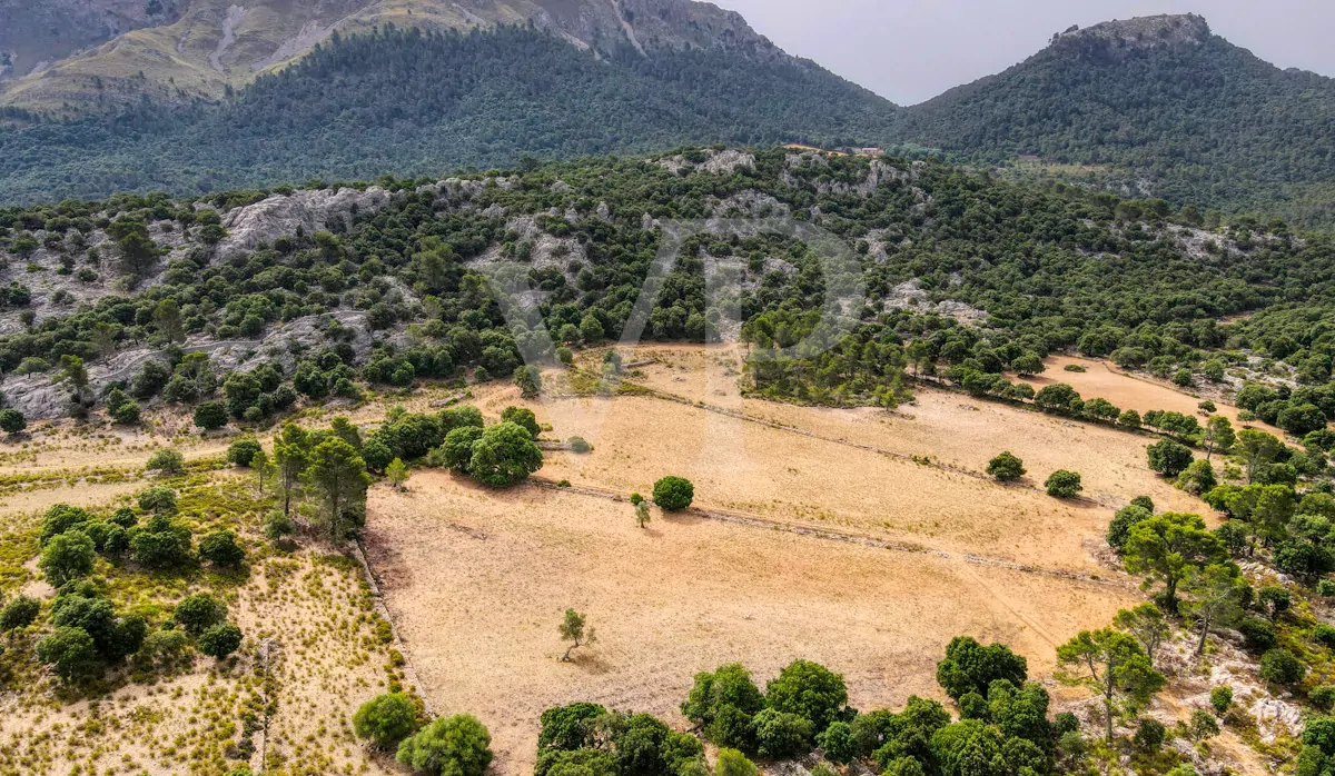 Fantastische historische Finca zum Renovieren auf 80 Hektar in der Serra de Tramuntana in Escorca