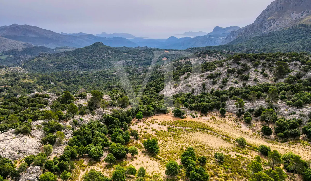 Fantastische historische Finca zum Renovieren auf 80 Hektar in der Serra de Tramuntana in Escorca