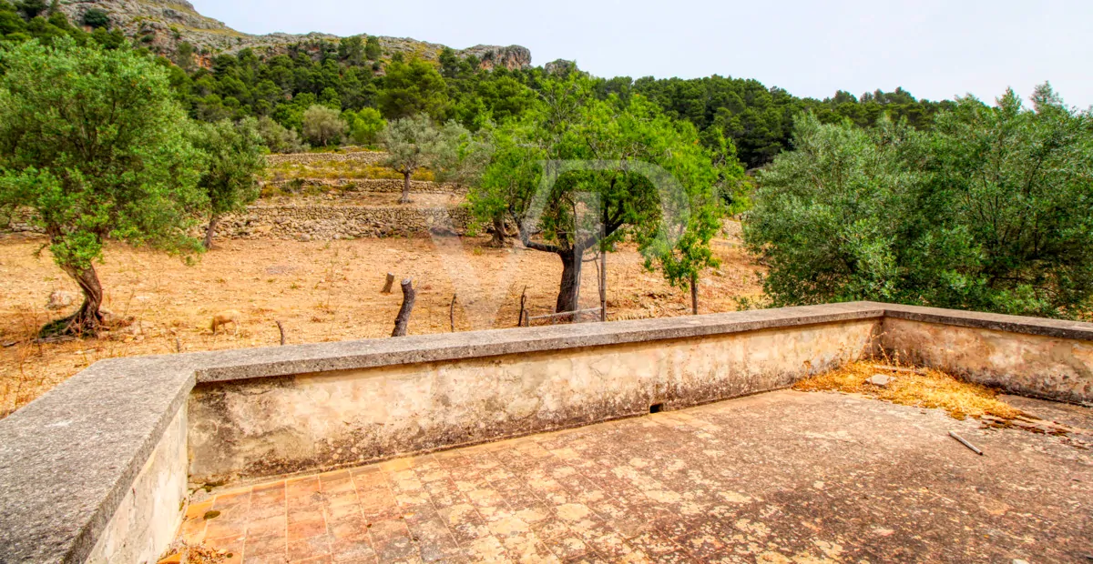 Fantastische historische Finca zum Renovieren auf 80 Hektar in der Serra de Tramuntana in Escorca