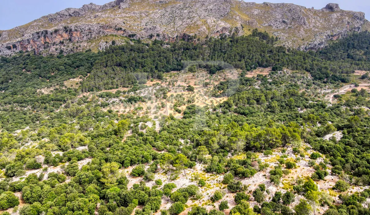 Fantastische historische Finca zum Renovieren auf 80 Hektar in der Serra de Tramuntana in Escorca