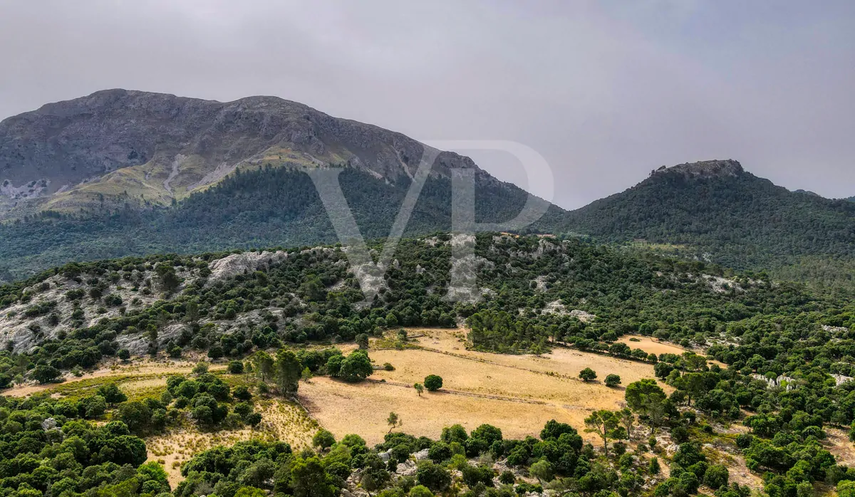 Fantastische historische Finca zum Renovieren auf 80 Hektar in der Serra de Tramuntana in Escorca
