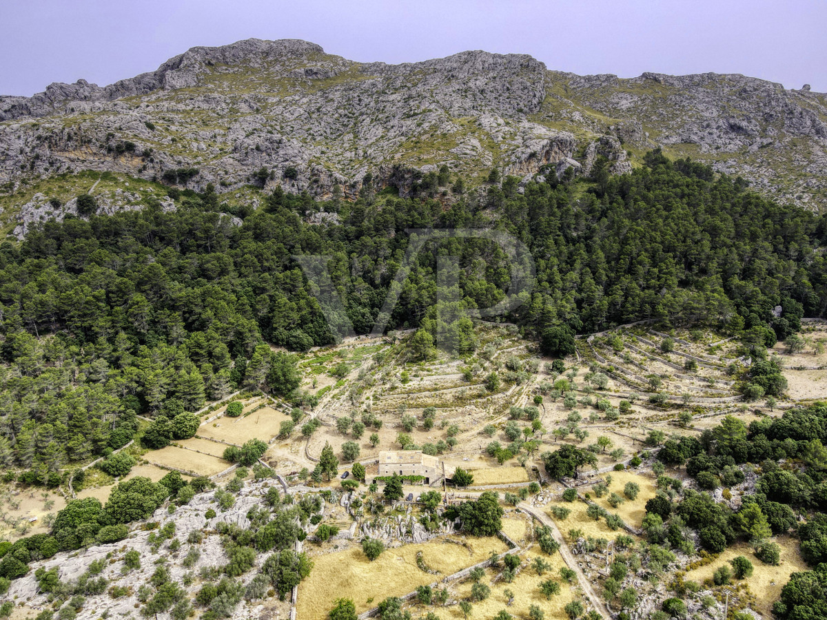 Fantastische historische Finca zum Renovieren auf 80 Hektar in der Serra de Tramuntana in Escorca