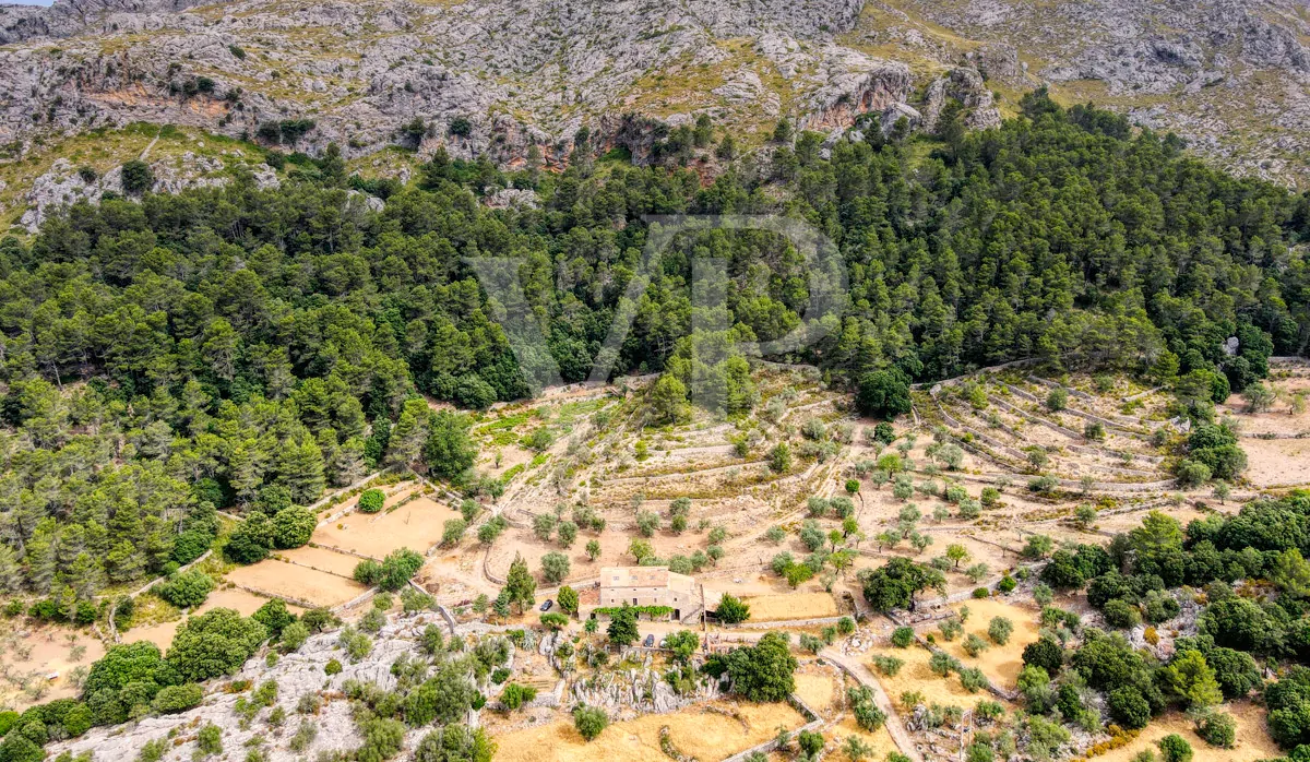Fantastische historische Finca zum Renovieren auf 80 Hektar in der Serra de Tramuntana in Escorca