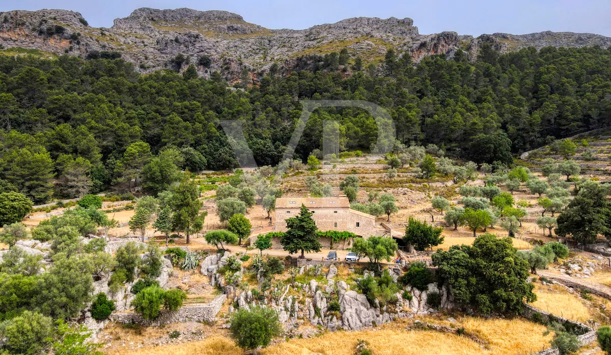Fantastische historische Finca zum Renovieren auf 80 Hektar in der Serra de Tramuntana in Escorca