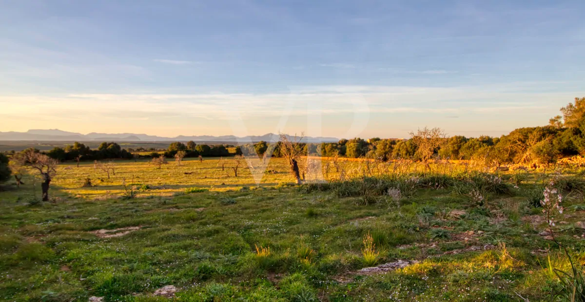 fantastisches-landhaus-in-hervorragender-lage-in-manacor-in-der-sierra-de-llevant
