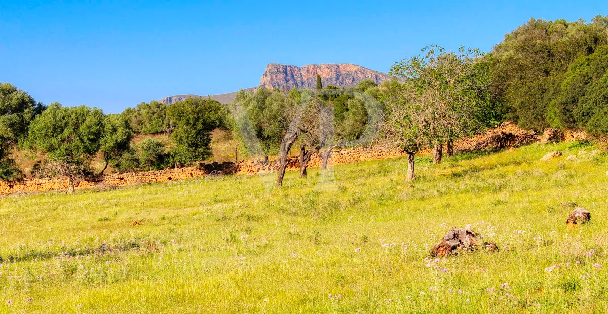 fantastisches-landhaus-in-hervorragender-lage-in-manacor-in-der-sierra-de-llevant