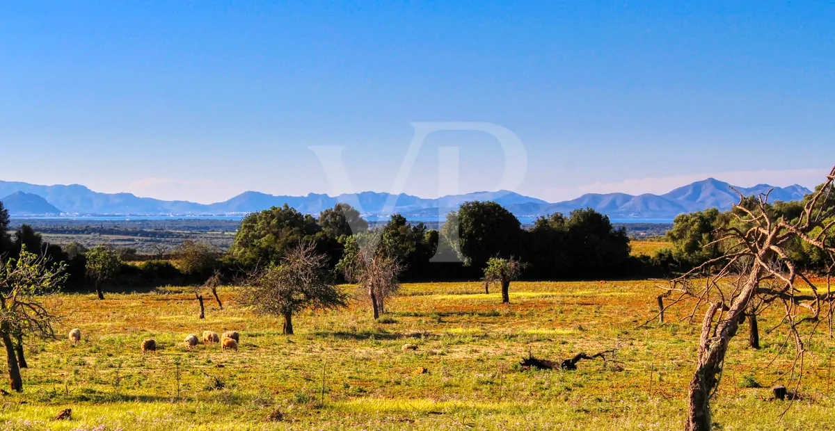 fantastisches-landhaus-in-hervorragender-lage-in-manacor-in-der-sierra-de-llevant
