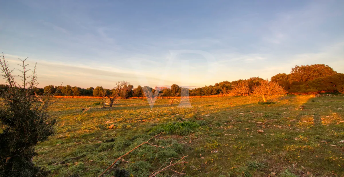 fantastisches-landhaus-in-hervorragender-lage-in-manacor-in-der-sierra-de-llevant
