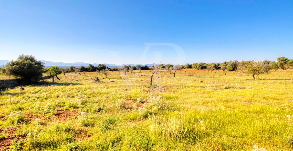 fantastisches-landhaus-in-hervorragender-lage-in-manacor-in-der-sierra-de-llevant