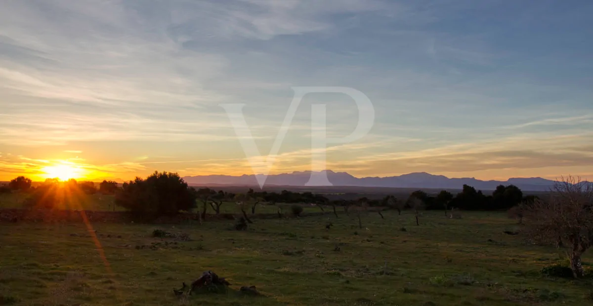 fantastisches-landhaus-in-hervorragender-lage-in-manacor-in-der-sierra-de-llevant
