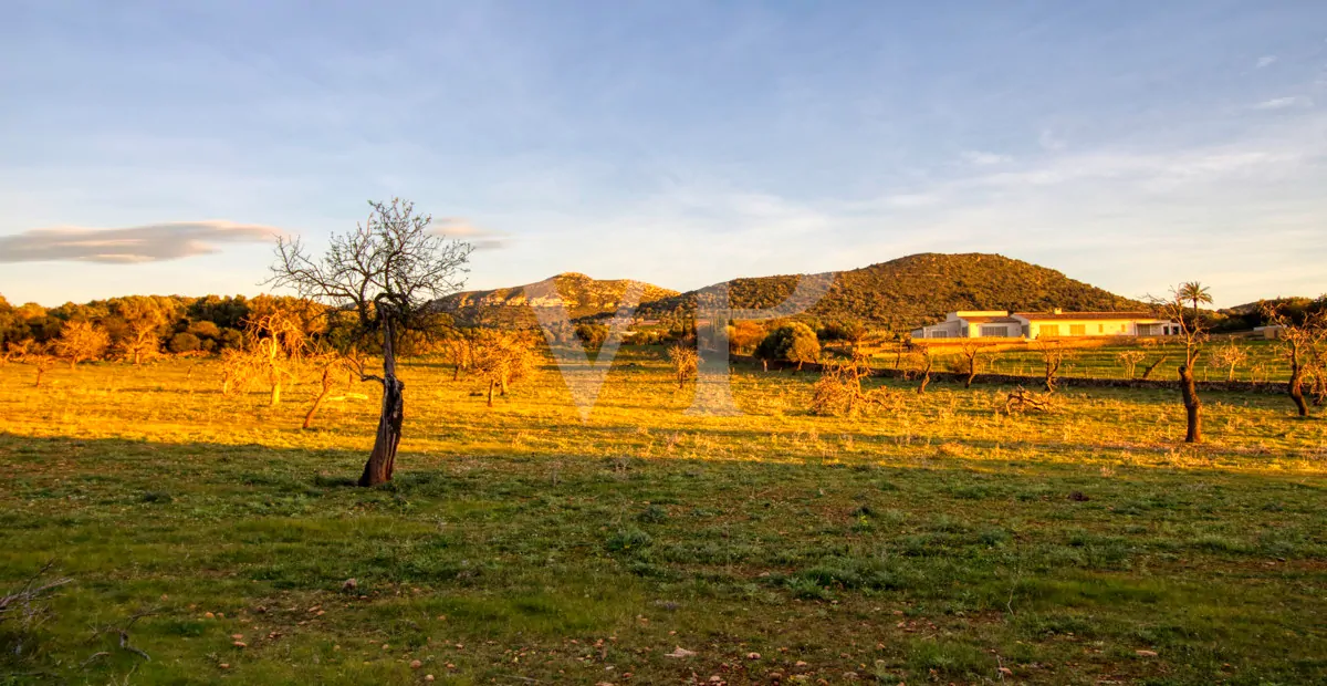 fantastisches-landhaus-in-hervorragender-lage-in-manacor-in-der-sierra-de-llevant