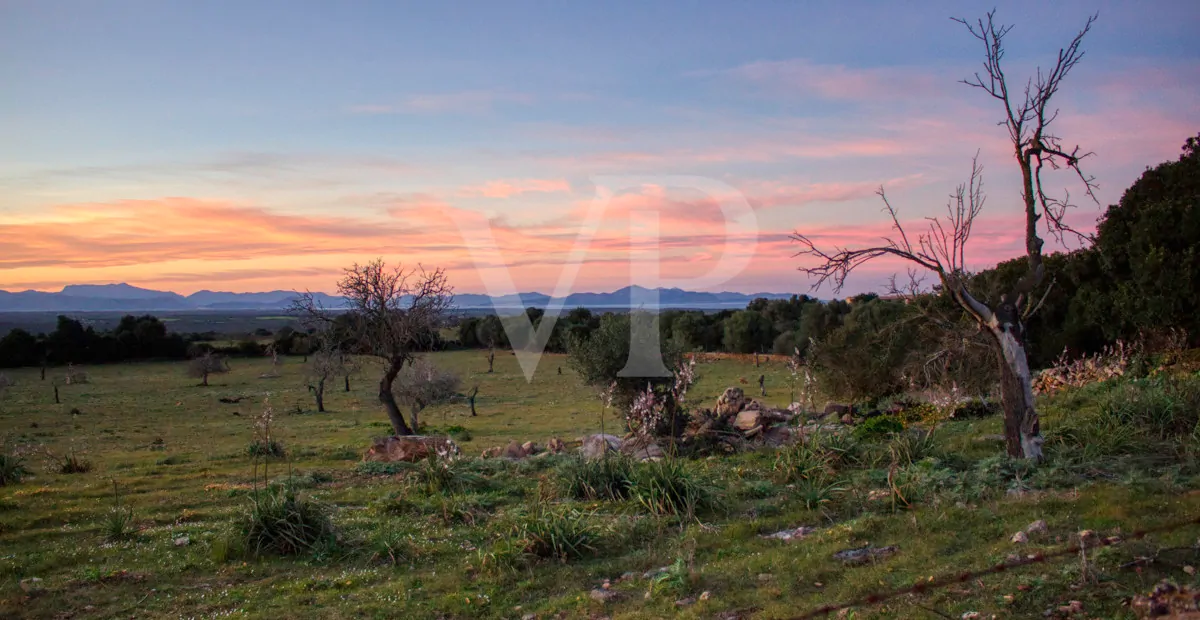 fantastisches-landhaus-in-hervorragender-lage-in-manacor-in-der-sierra-de-llevant