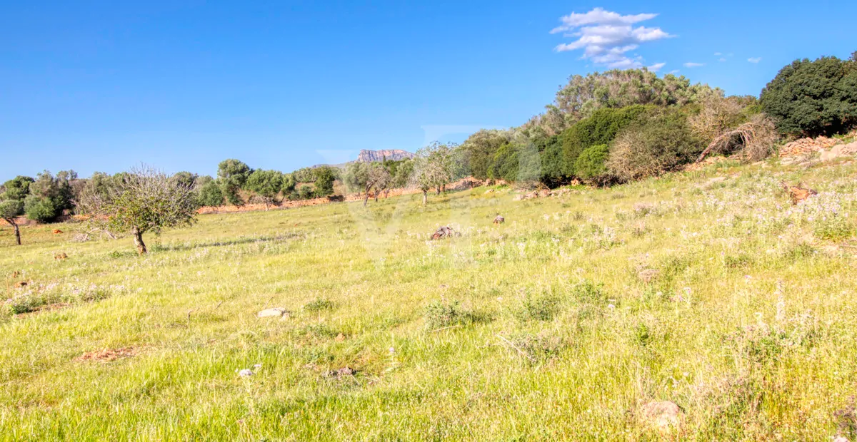fantastisches-landhaus-in-hervorragender-lage-in-manacor-in-der-sierra-de-llevant