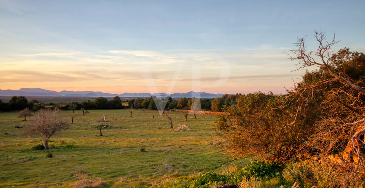 fantastisches-landhaus-in-hervorragender-lage-in-manacor-in-der-sierra-de-llevant