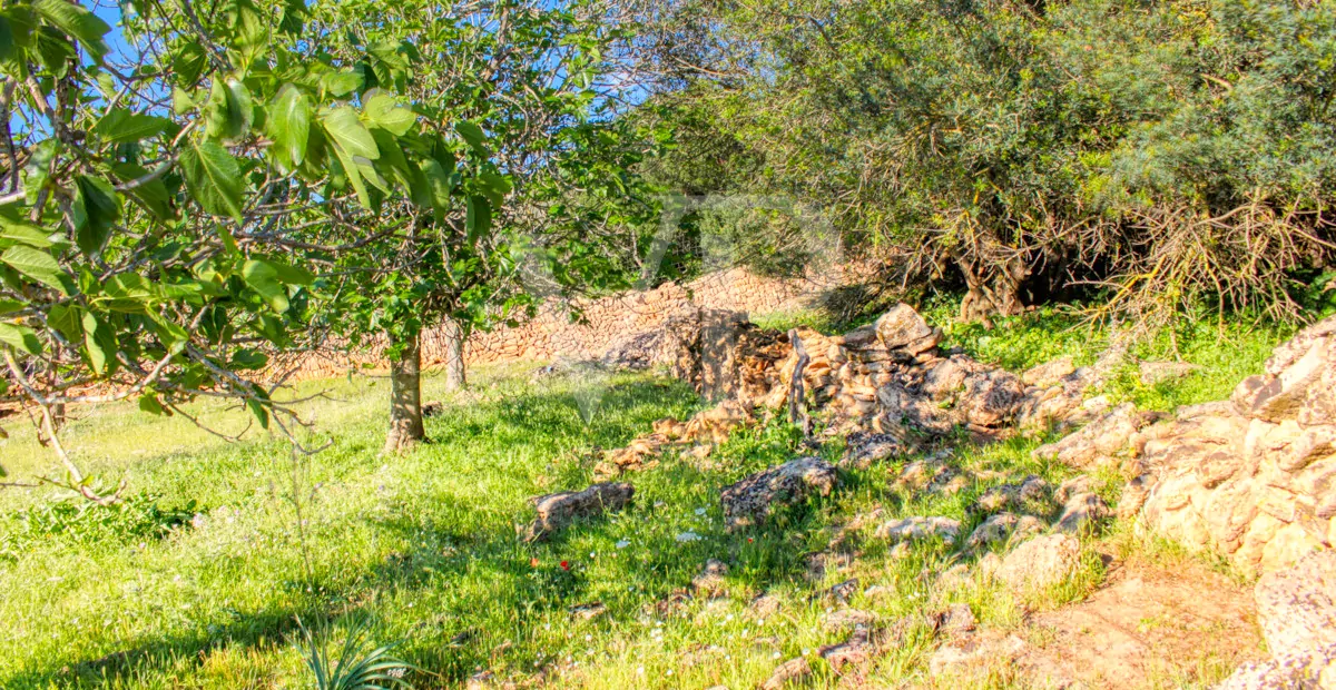 fantastisches-landhaus-in-hervorragender-lage-in-manacor-in-der-sierra-de-llevant