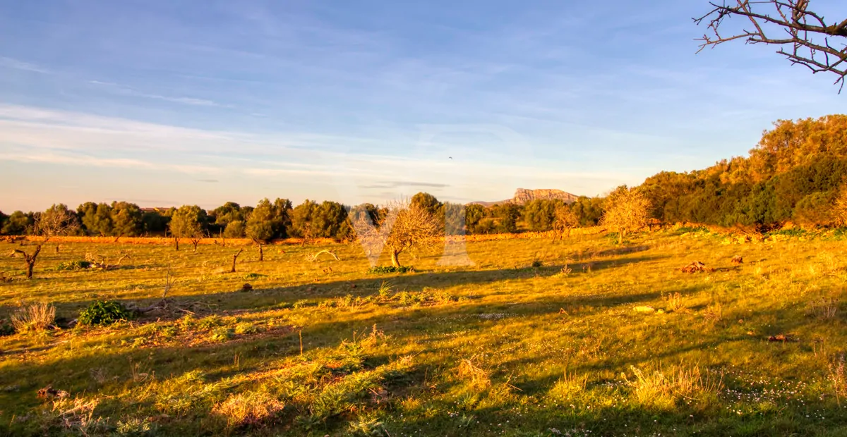 fantastisches-landhaus-in-hervorragender-lage-in-manacor-in-der-sierra-de-llevant